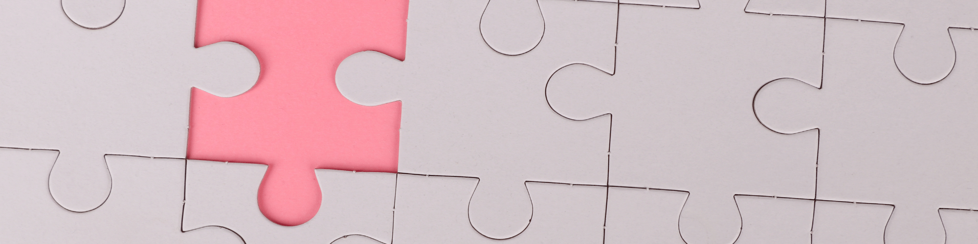 Risinājumi vai attaisnojumi