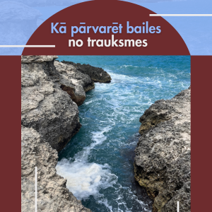 Trauksmes rokasgrāmata